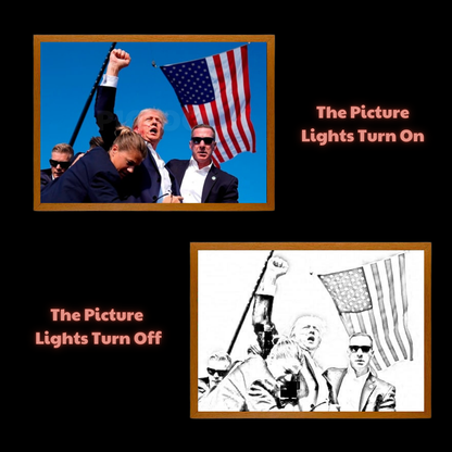 Donald Trump - LED Light Up Painting Frame PIC1249